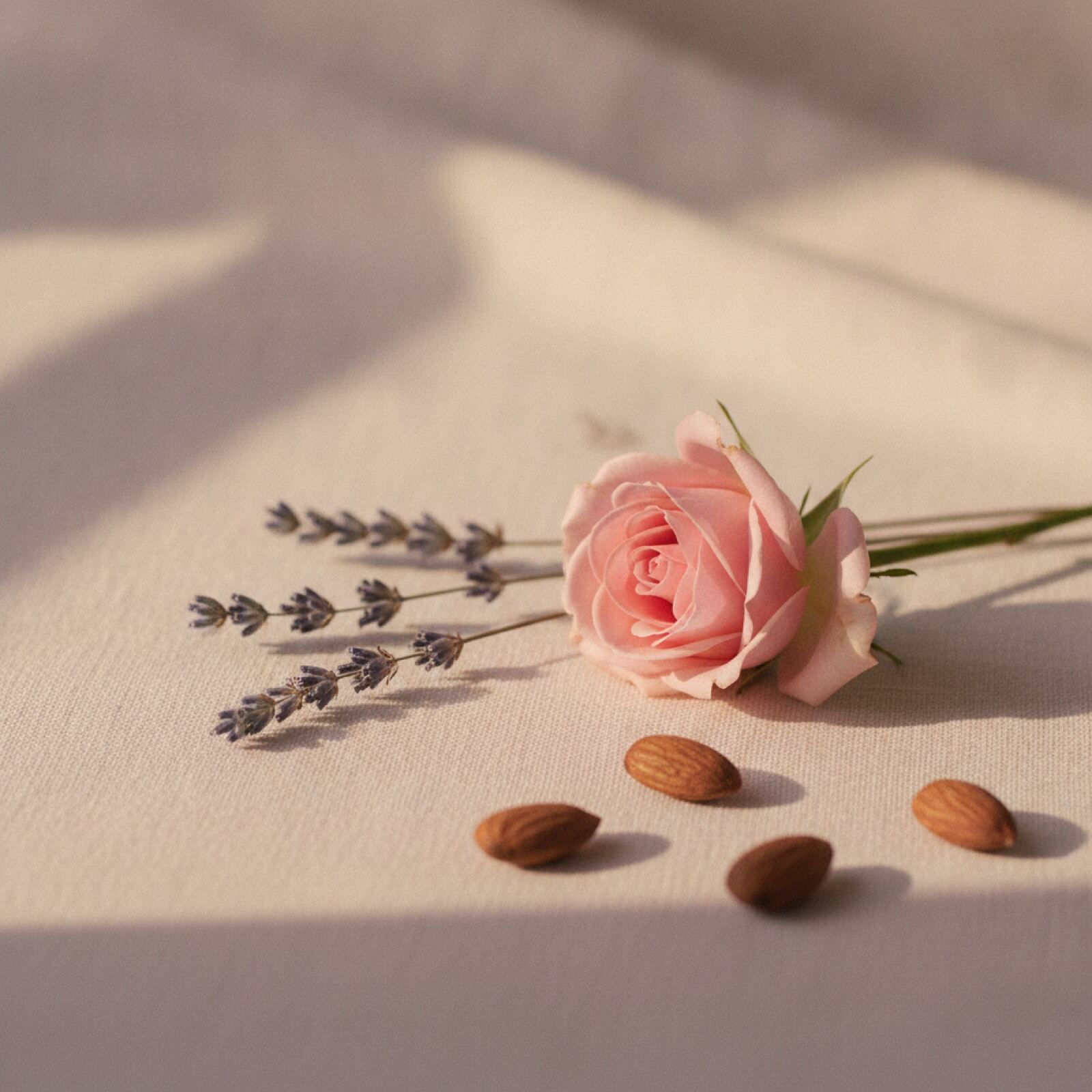 Rose, lavender and almonds on cream linen