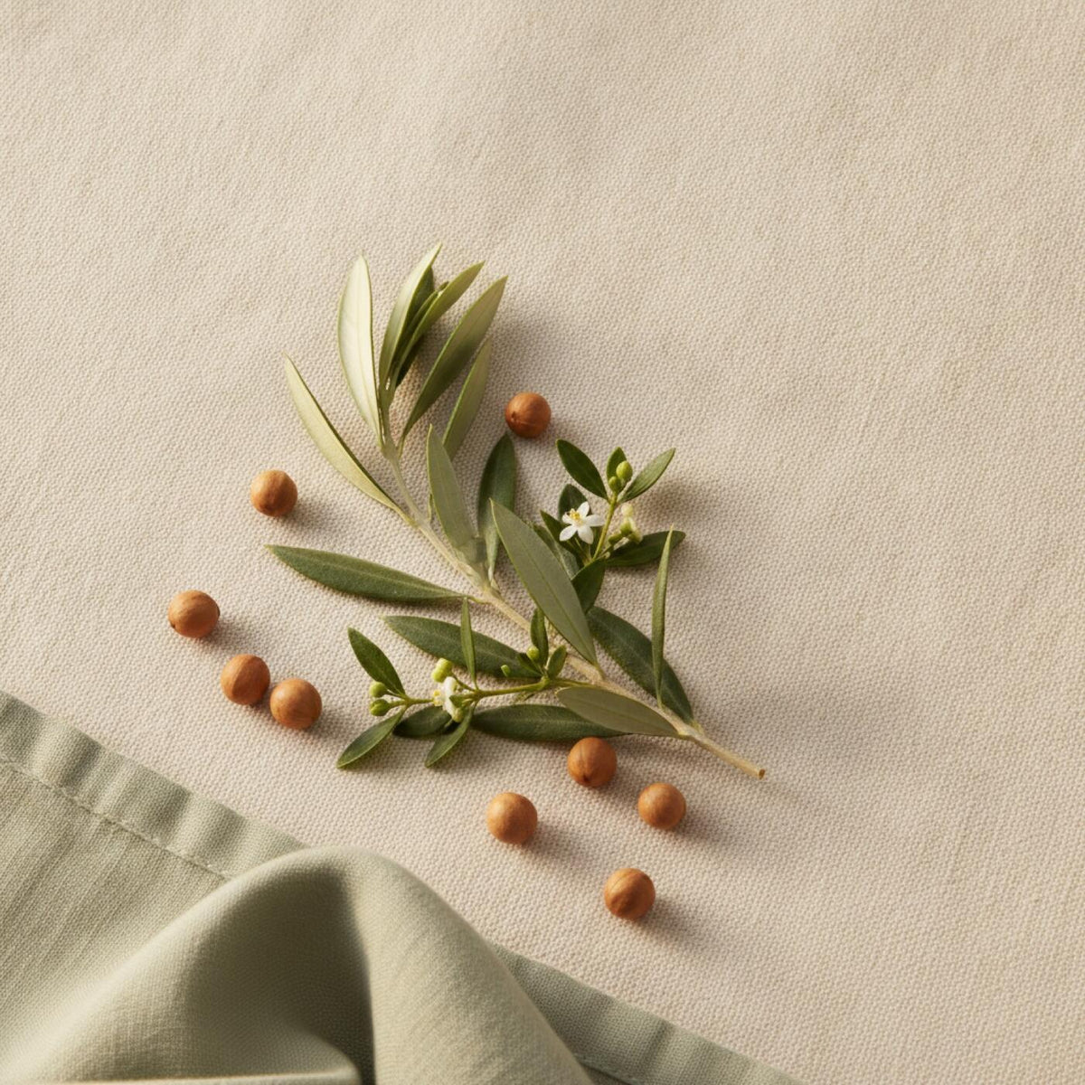Olive, myrtle and jojoba botanicals arranged on linen