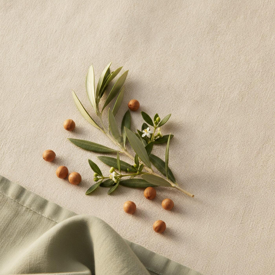 Olive, myrtle and jojoba botanicals arranged on linen