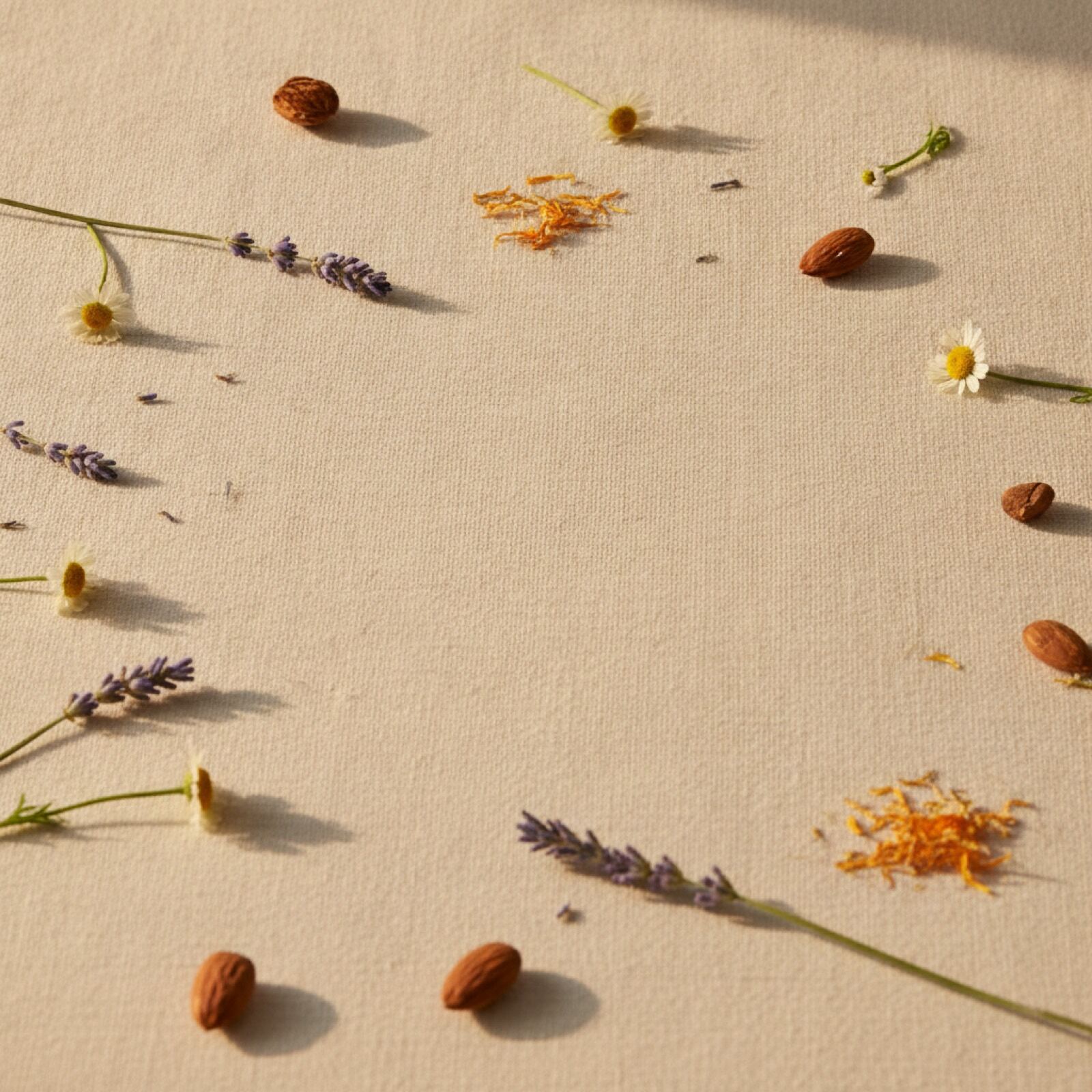 Botanicals scattered on cream linen